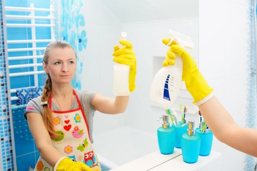Professional stain removal service for carpets and upholstery in Queenspark