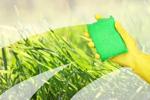 Professional sofa cleaning service in Queenspark for fabric and leather furniture
