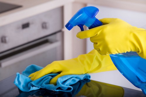 Professional pet stain odour removal service in a Queenspark home