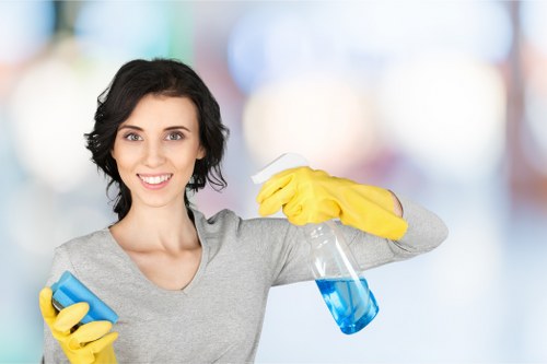 Professional Airbnb cleaning checklist for Queenspark hosts