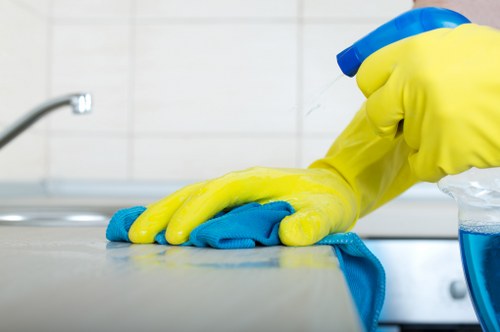 Local cleaner preparing domestic cleaning in Queenspark