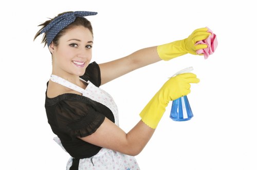 Illustration representing accessibility request support for Queenspark Cleaner
