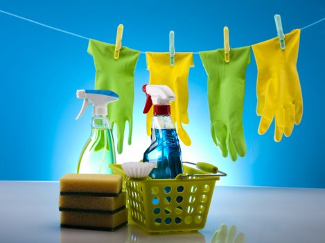 Queenspark upholstery cleaning for pet stains and smells