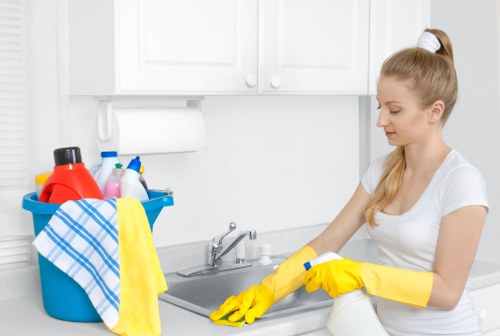 Ongoing house cleaning visit in a Queenspark apartment